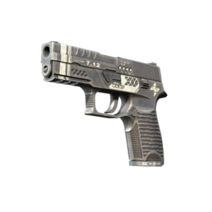 P250 | Re.built