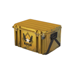 Winter Offensive Weapon Case