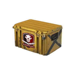 Falchion Case