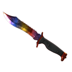 StatTrak™ Bowie Knife | Marble Fade