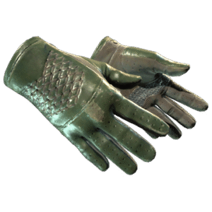 Driver Gloves | Racing Green