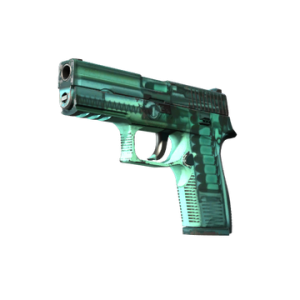 P250 | X-Ray