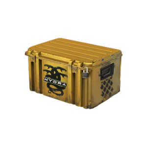 Operation Hydra Case