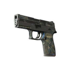 P250 | Exchanger