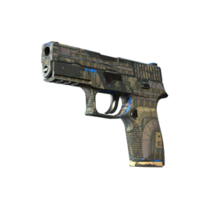 P250 | Exchanger