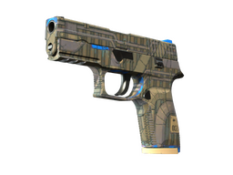 P250 | Exchanger