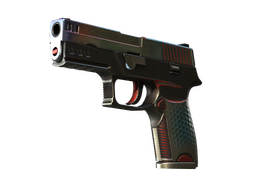 P250 | Cyber Shell