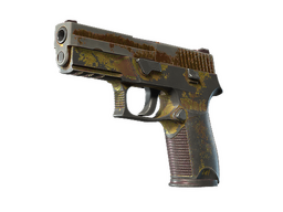 P250 | Sedimentary
