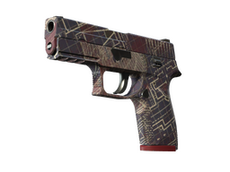 P250 | Facility Draft