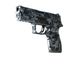 P250 | Steel Disruption