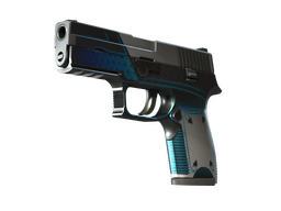 StatTrak™ P250 | Valence